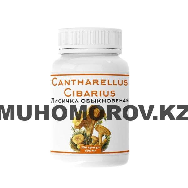 Лисичка в капсулах 100 капсул